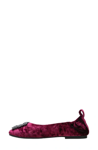 Shop Linea Paolo Minax Embellished Ballet Flat In Burgundy