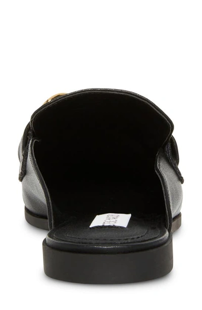 Shop Steve Madden Cassady Loafer Mule In Black Leather