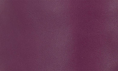 Vince Camuto Kashleigh Pointed Toe Knee High Boot In Ruby Rose
