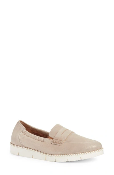 Shop Paul Green Sally Penny Loafer In Cachemire Suede Metallic