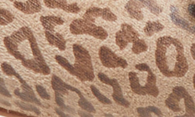 Shop Ann Mashburn Buckle Flat In Leopard Embossed Vegan Suede