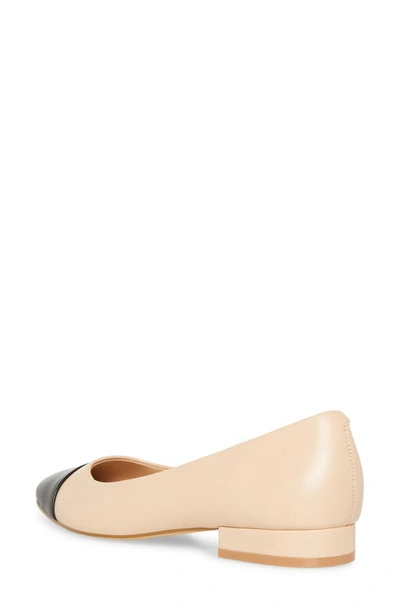 Steve Madden Blair Cap Toe Ballet Flat In Tan Multi