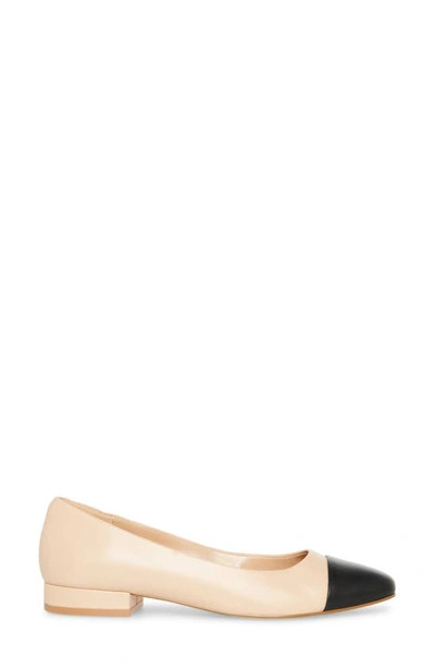 Steve Madden Blair Cap Toe Ballet Flat In Tan Multi