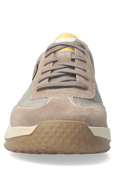 Shop Mephisto Steve Air Sneaker In Warm Grey