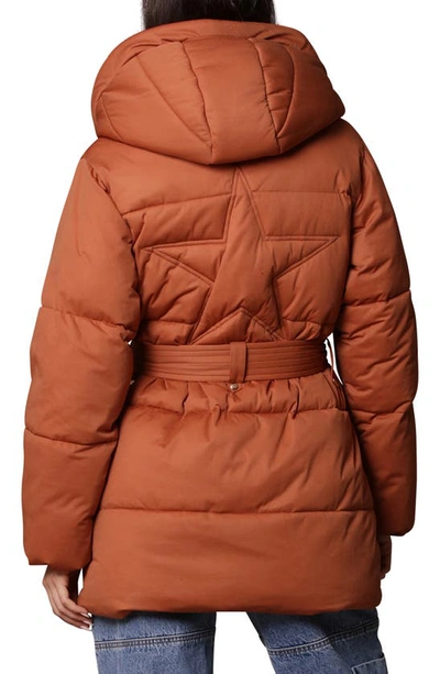 Shop Avec Les Filles Water Resistant Hooded Puffer Jacket In Cedar