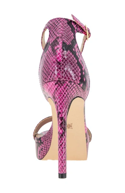 Shop Bcbgeneration Nallah Platform Sandal In Viva Pink Snake