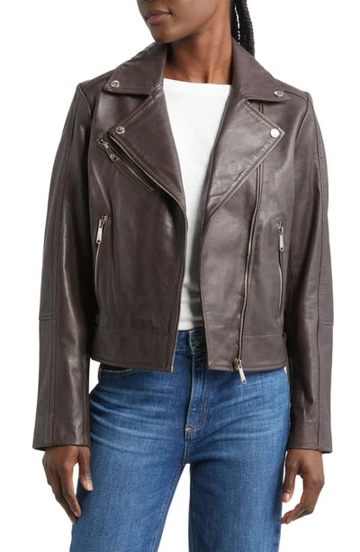 Shop Sam Edelman Washed Leather Moto Jacket In Brown