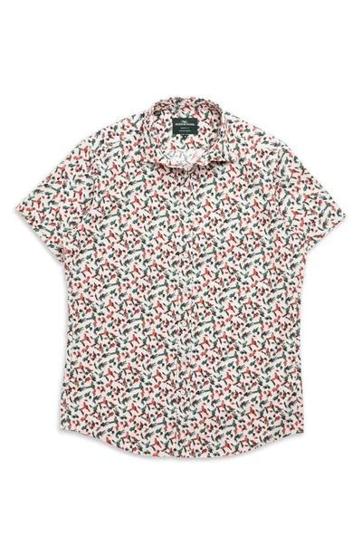 Shop Rodd & Gunn Hillmorton Sports Fit Print Short Sleeve Cotton Button-up Shirt In Dusty Pink
