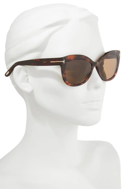 Shop Tom Ford Alistair 56mm Gradient Sunglasses In Red Havana / Brown Polarized