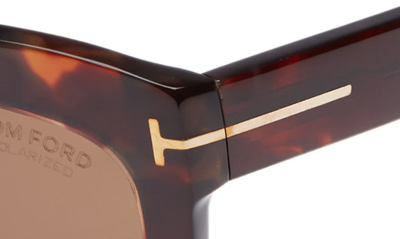 Shop Tom Ford Alistair 56mm Gradient Sunglasses In Red Havana / Brown Polarized