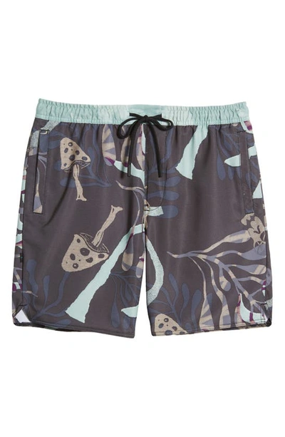 Shop Stance Complex Hybrid Shorts In Grey/ Teal