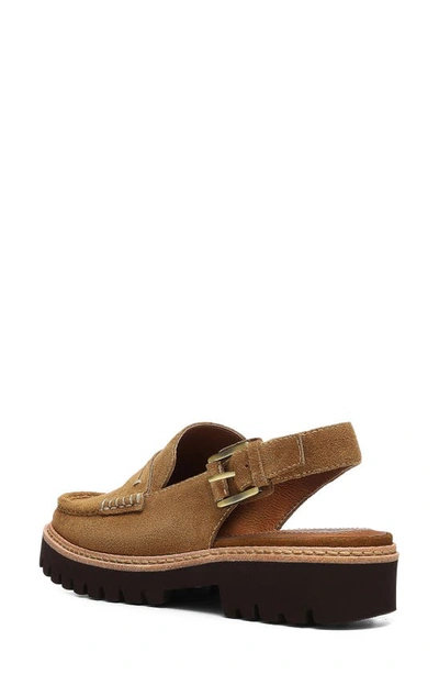 Shop Donald Pliner Halie Slingback Moc Toe Loafer In Saddle