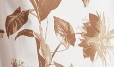 Nordstrom Signature Floral Cotton Shirt In Ivory- Tan Botanical Blossom