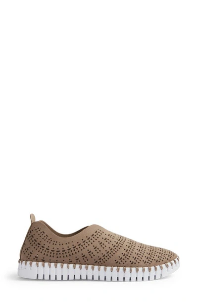 Shop Ilse Jacobsen Tulip Slip-on Sneaker In Falcon