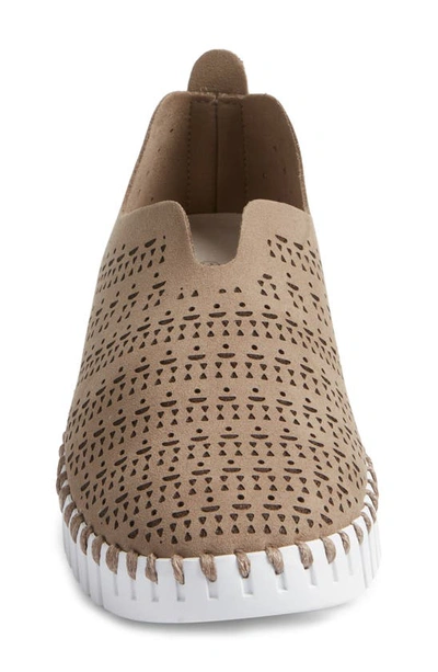 Shop Ilse Jacobsen Tulip Slip-on Sneaker In Falcon