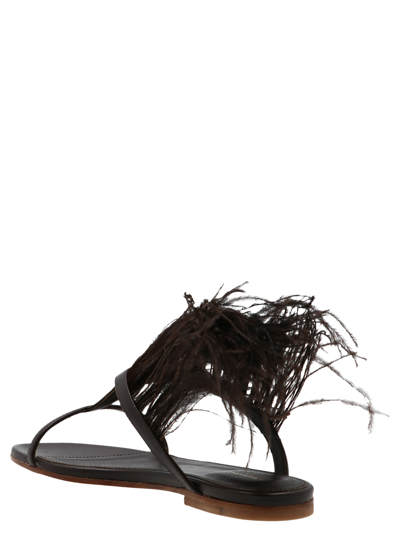 Shop Emilio Pucci Leather Sandals In Brown