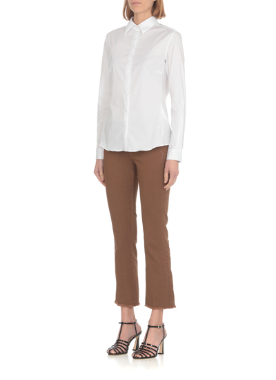 Shop Fay Cotton Trousers In Brown
