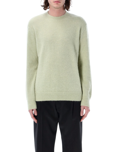 Shop Lanvin Mohair Sweater In Sage