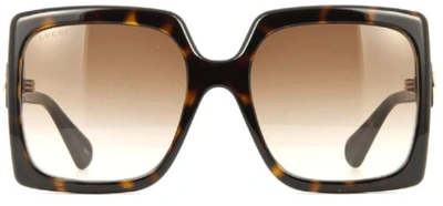 Pre-owned Gucci Gg0876s-002-60mm Women Oversized Sunglasses Havana Tortoise Brown Gradient