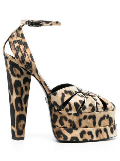 Shop Roberto Cavalli Leopard-print Caged Platform Sandals In 05571