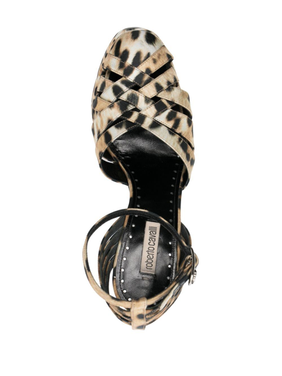 Shop Roberto Cavalli Leopard-print Caged Platform Sandals In 05571