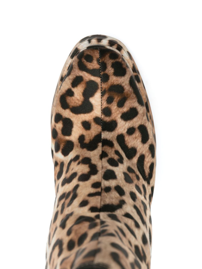 Shop Roberto Cavalli Leopard-print Platform Booties In 05571