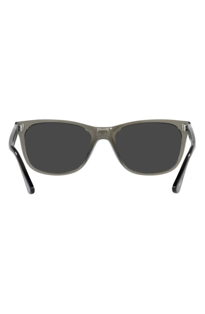 Shop Persol 57mm Polarized Rectangular Sunglasses In Matte Black / Tort