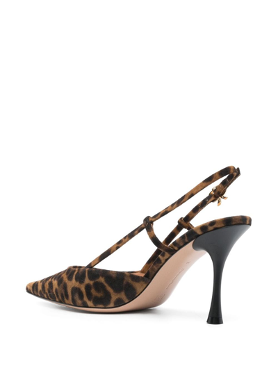 Gianvito Rossi Ascent Leopard-print Suede Slingback Pumps In Brown