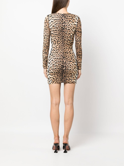Roberto Cavalli Fitted Mini Dress With Leopard Print And Embellishments In Neutrals
