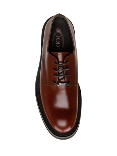 Shop Tod's Derby Passal Lace-up In Brandy Scuro