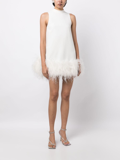 Rachel Gilbert Linc Feather-embellished Minidress In White