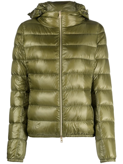 Shop Herno Hooded Down Puffer Jacket In Green