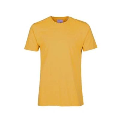 Shop Colorful Standard Classic Tee Burned Yellow