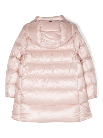 Shop Herno Long-sleeve Padded Jacket In Pink