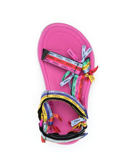Shop Chloé X Teva Hurricane Xlt2 Ampsole Flat Sandals In Pink