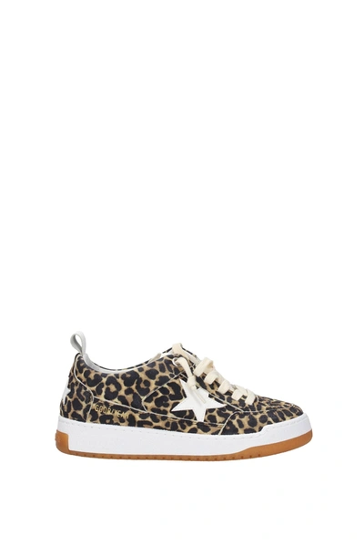 Shop Golden Goose Sneakers Suede Brown Leopard