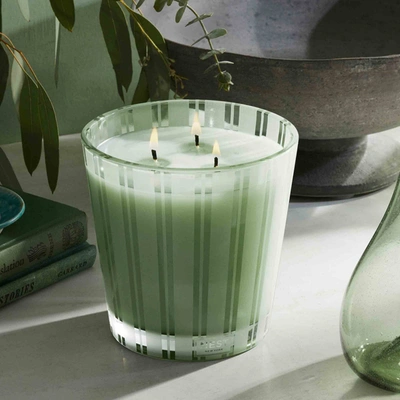Shop Nest Wild Mint And Eucalyptus Candle In 8.1 oz (classic)