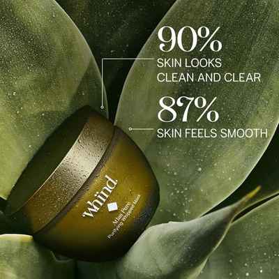 Whind Atlas Pure Purifying Whipped Mask In Default Title