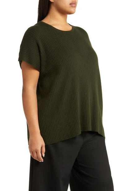 Shop Eileen Fisher Rib Organic Cotton Blend Boxy Top In Woodland