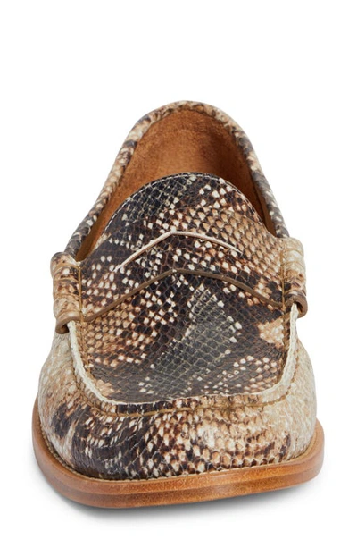 Shop Rhude Snakeskin Embossed Penny Loafer In Black Croc