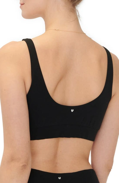 Shop Hatch Crossover Pima Cotton Blend Nursing Bra In Black