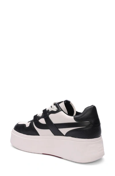 Ash Match Platform Sneaker In White/ Black