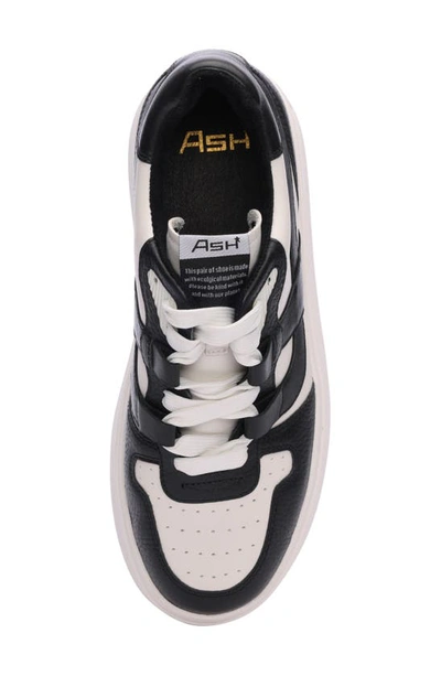 Ash Match Platform Sneaker In White/ Black