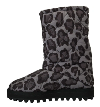 Shop Dolce & Gabbana Gray Leopard Boots Padded Mid Calf Men's Shoes