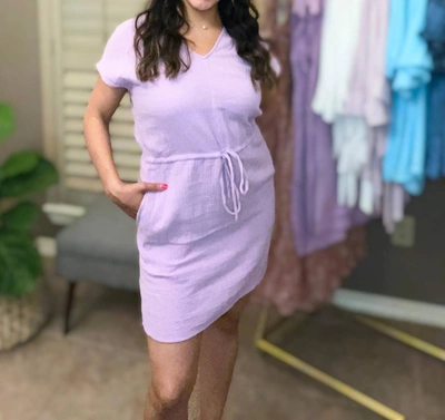 Shop Velvet Heart Savvy Dress In Lilac In Purple