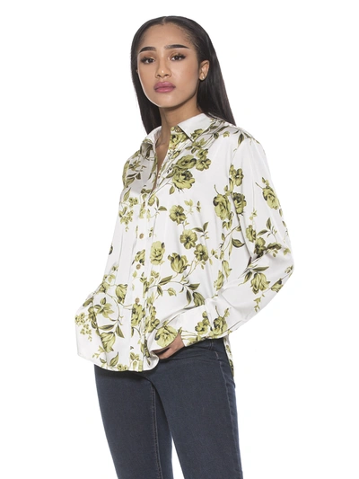 Alexia Admor Rylin Blouse In Brown