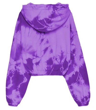 Shop Hinnominate Purple Cotton Women's Sweater