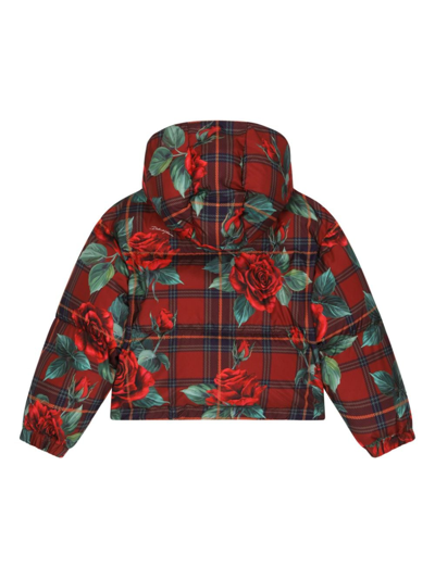 Shop Dolce & Gabbana Rose Tartan Print Puffer Jacket In Red