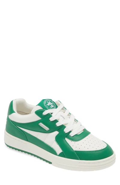 Shop Palm Angels University Low Top Sneaker In White Green