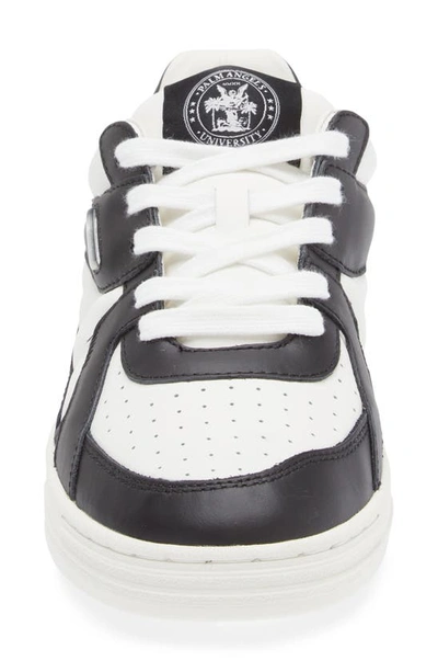 Shop Palm Angels University Low Top Sneaker In White Black